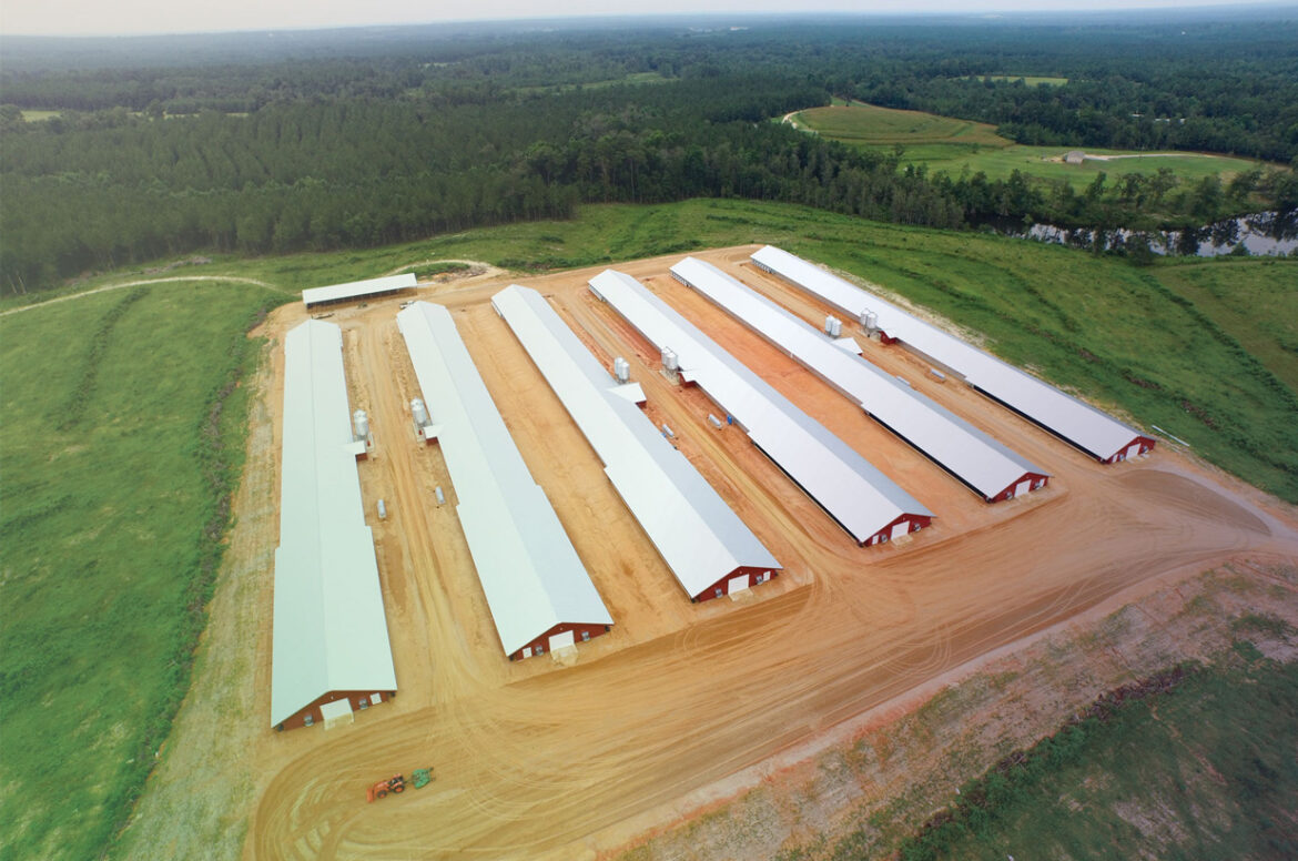 Aerial shot of a poultry farm financed by an agriculture loan from Live Oak Bank